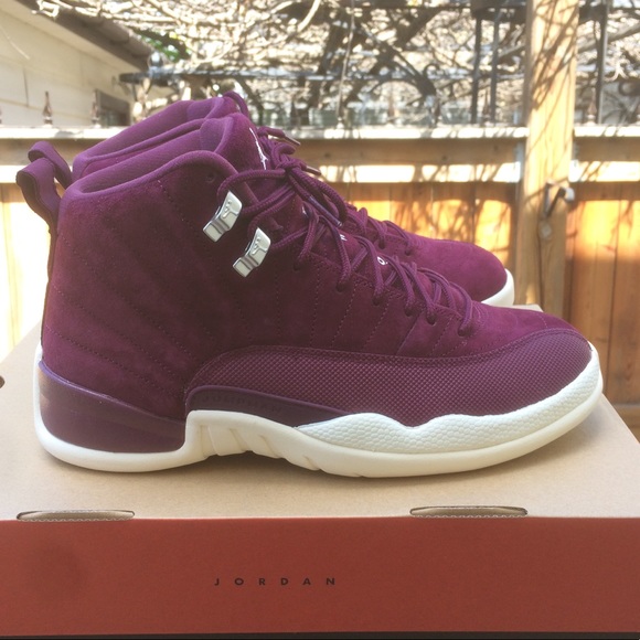 SOLD Nike Air Jordan 12 Size 8.5 - Picture 5 of 7